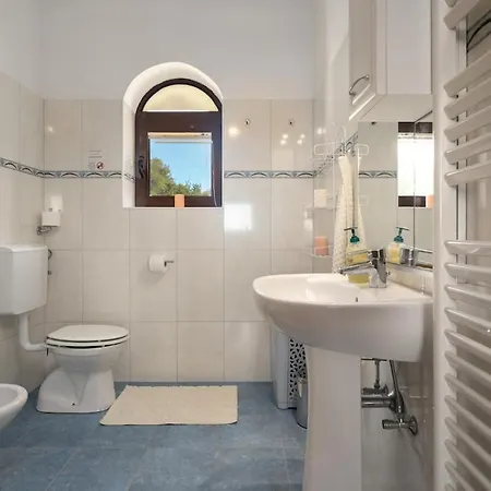 Imagine By Briskva *